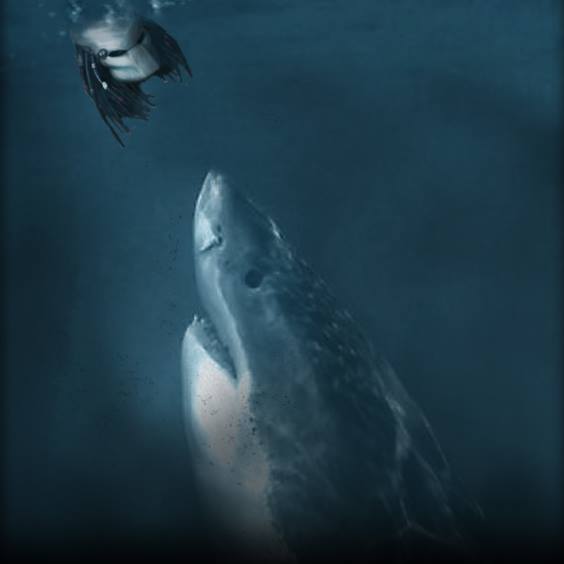 sharks v preditors