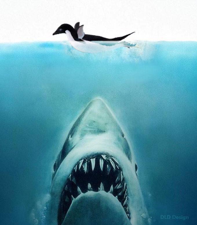 13333017_1205042912848575_7546332338937126138_n