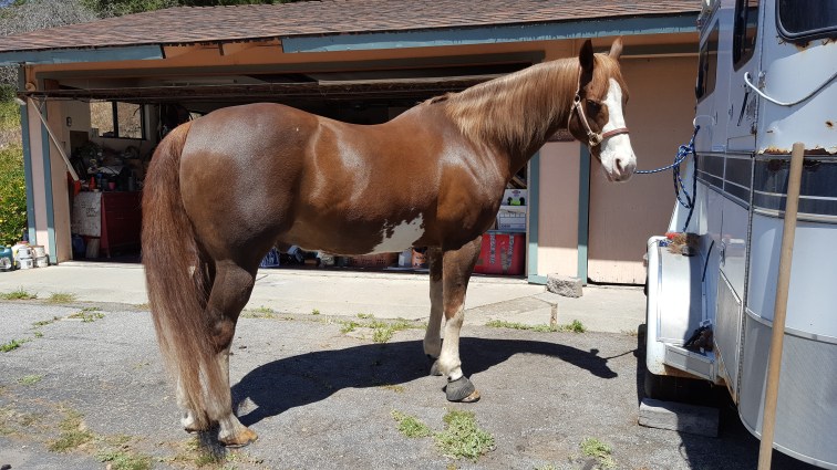 2016-05-31 11.27.31.jpg