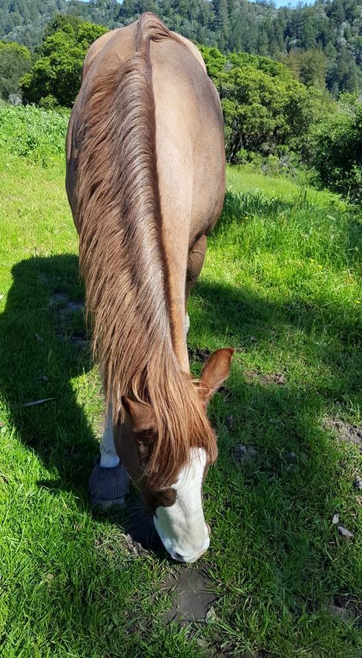 431965_1269309599749113_4701375357549255059_n