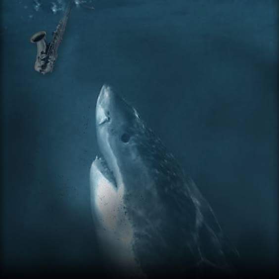 FB_IMG_1463115216213