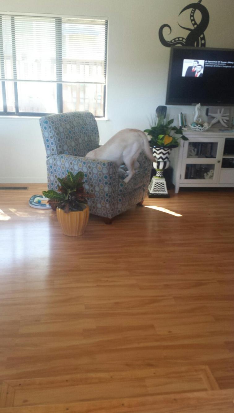 IMG_20160710_175923_01