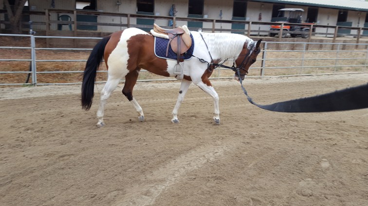 2016-08-09 09.44.51-1