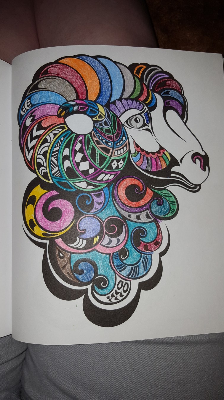 2016-08-22 20.37.26 - Copy