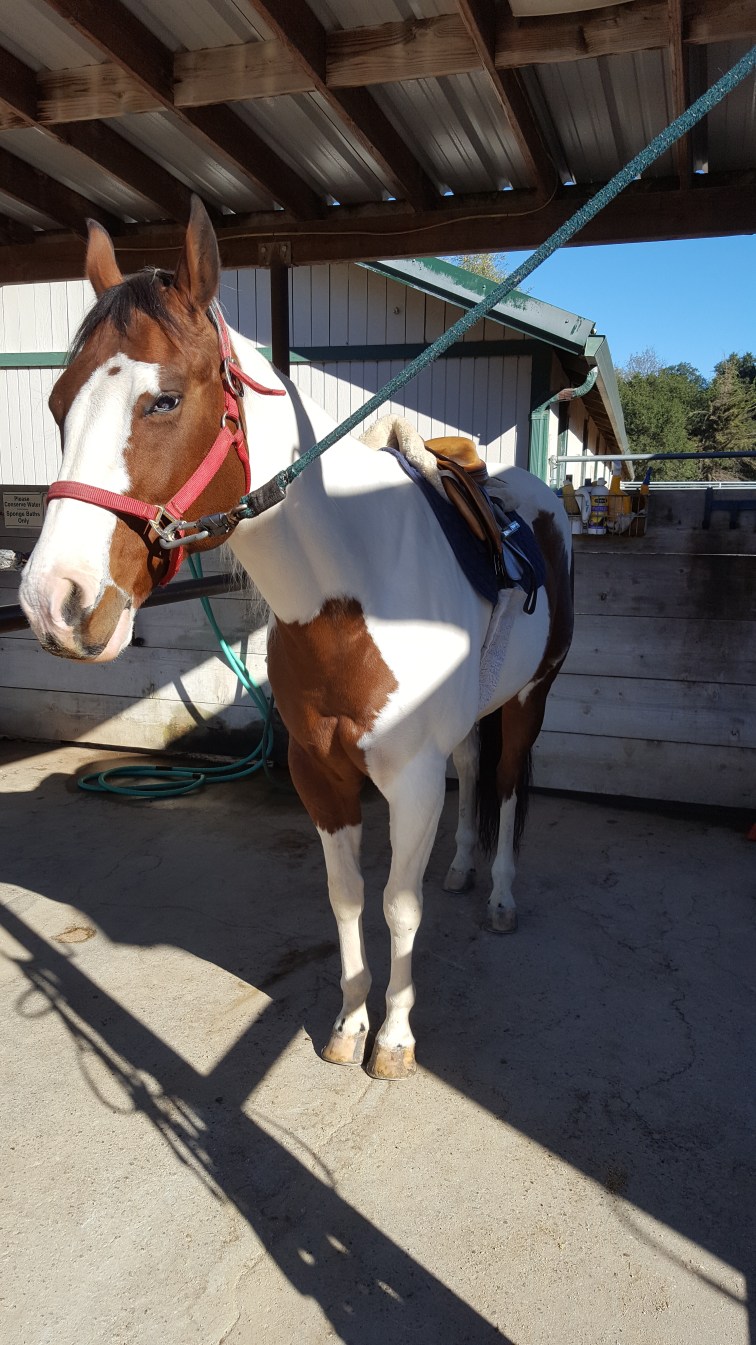 2016-10-20-10-12-17-1