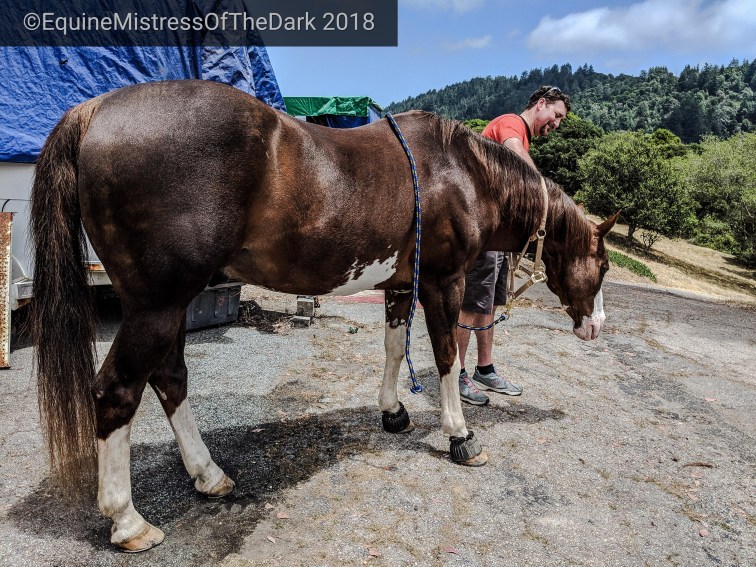 psx_20180627_1723401