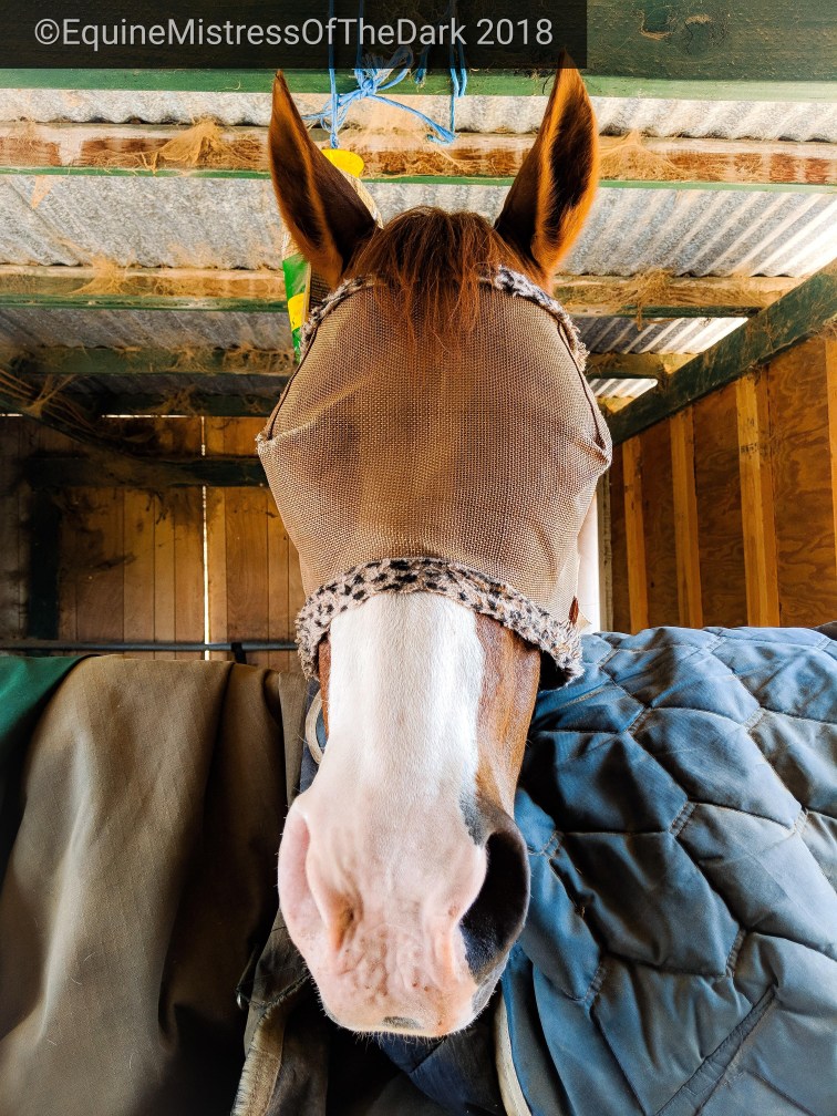 psx_20180702_1913571