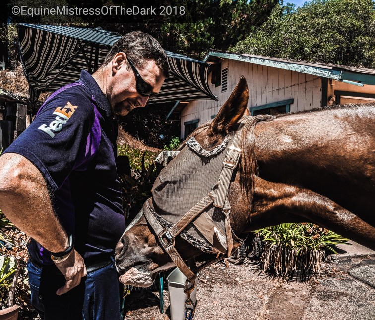 psx_20180801_1449411