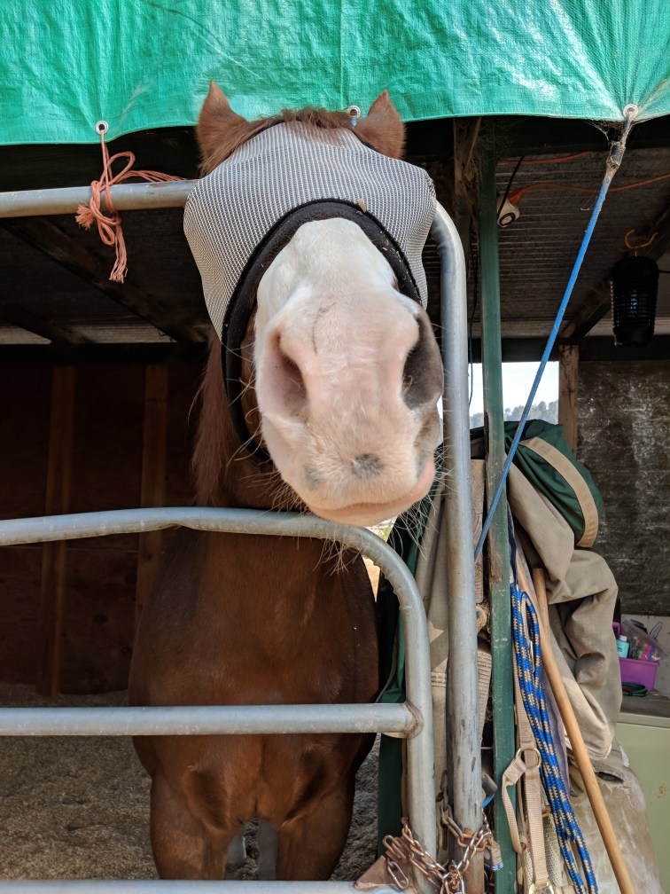 mvimg_20181023_123753