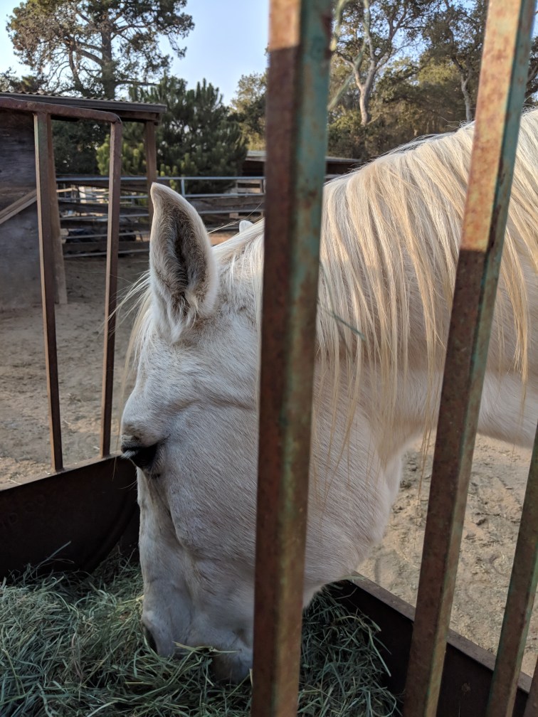 mvimg_20181112_145703