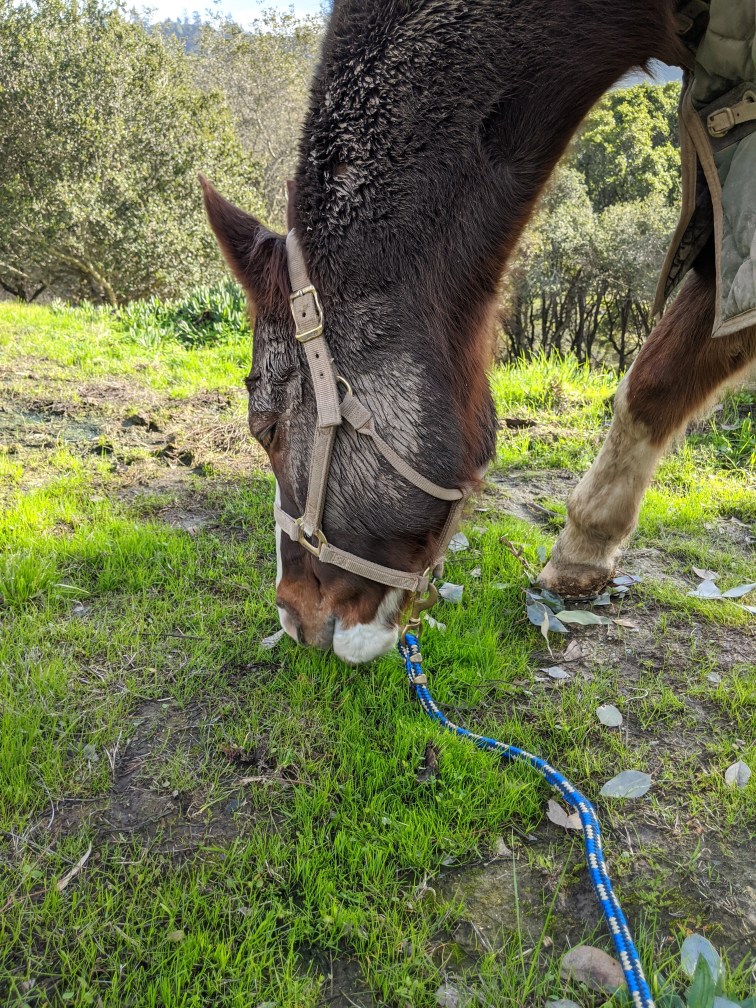 mvimg_20200101_114155