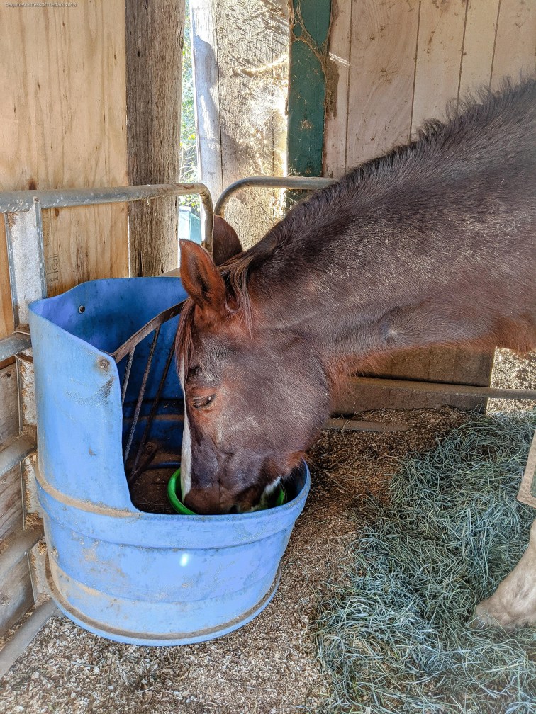 psx_20200202_105019-1