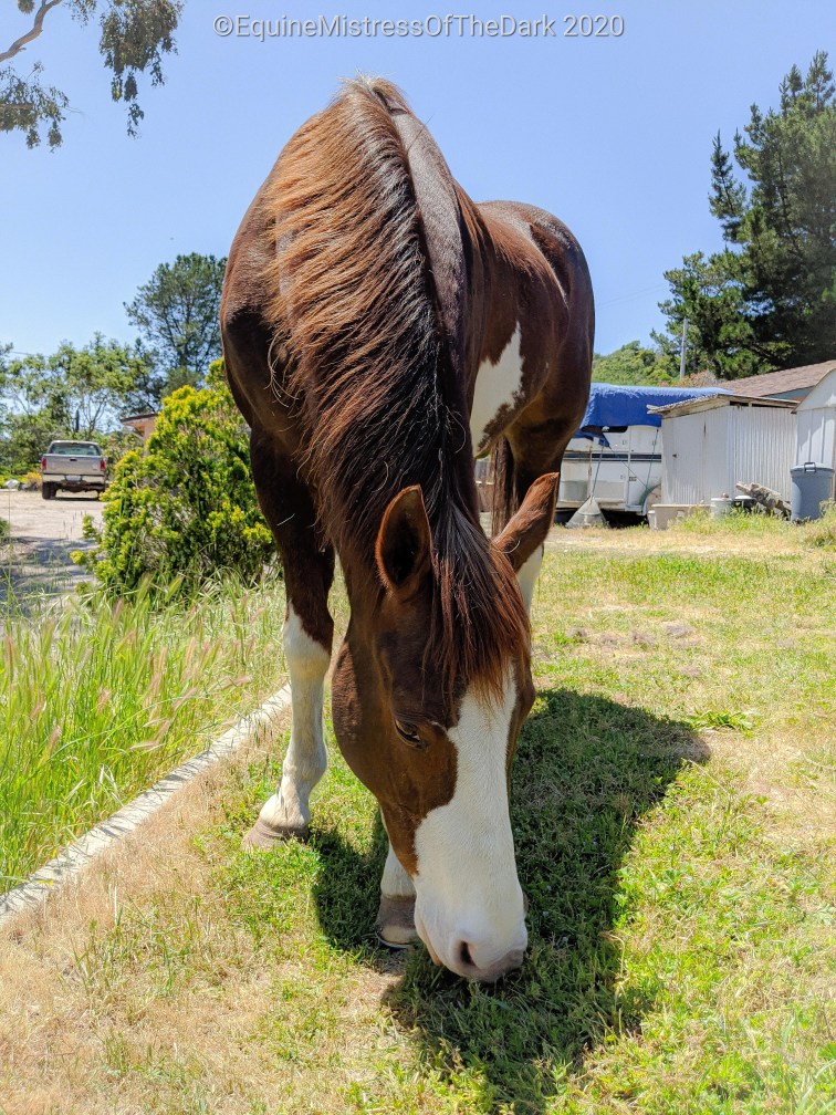 psx_20200504_153747-1